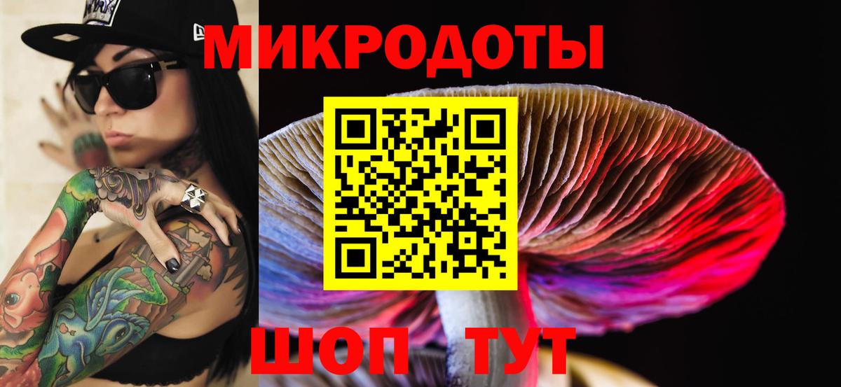 Псилоцибиновые грибы MAGIC MUSHROOMS  Вход с VPN  Костомукша 
